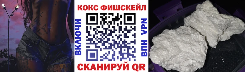 купить  сайты  Новодвинск  COCAIN Fish Scale 