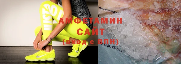 прущие грибы Балабаново