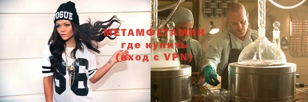 прущие грибы Балабаново