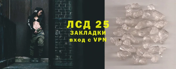 прущие грибы Балабаново