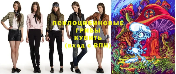 прущие грибы Балабаново