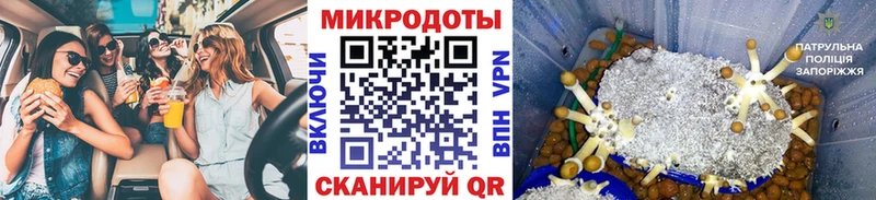 где найти наркотики  Новодвинск  Псилоцибиновые грибы мухоморы 